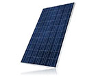    ABi-Solar CL-P60250, 250 Wp,Poly